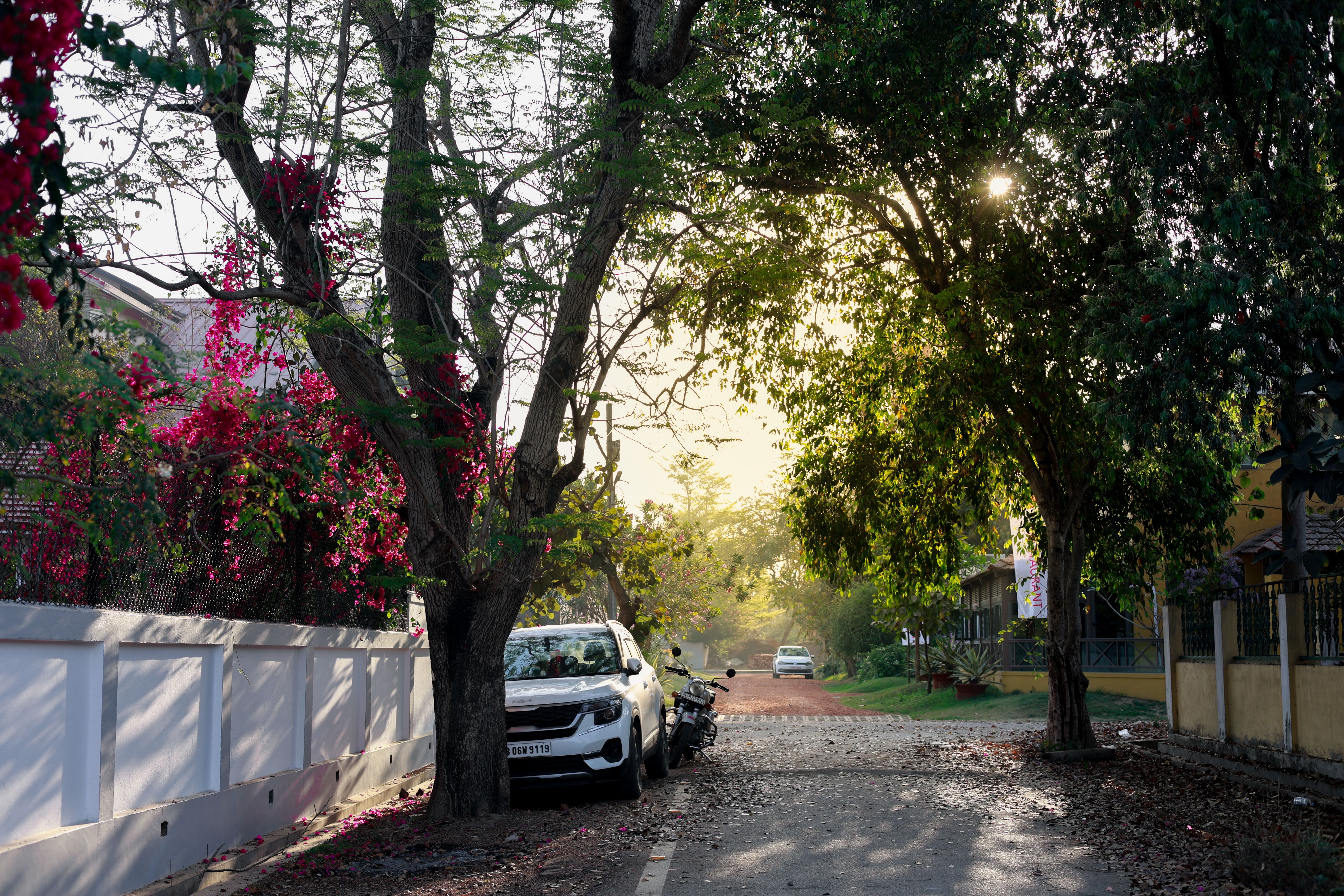evs explained evs related topics — Photo by Shreya  Das on Pexels