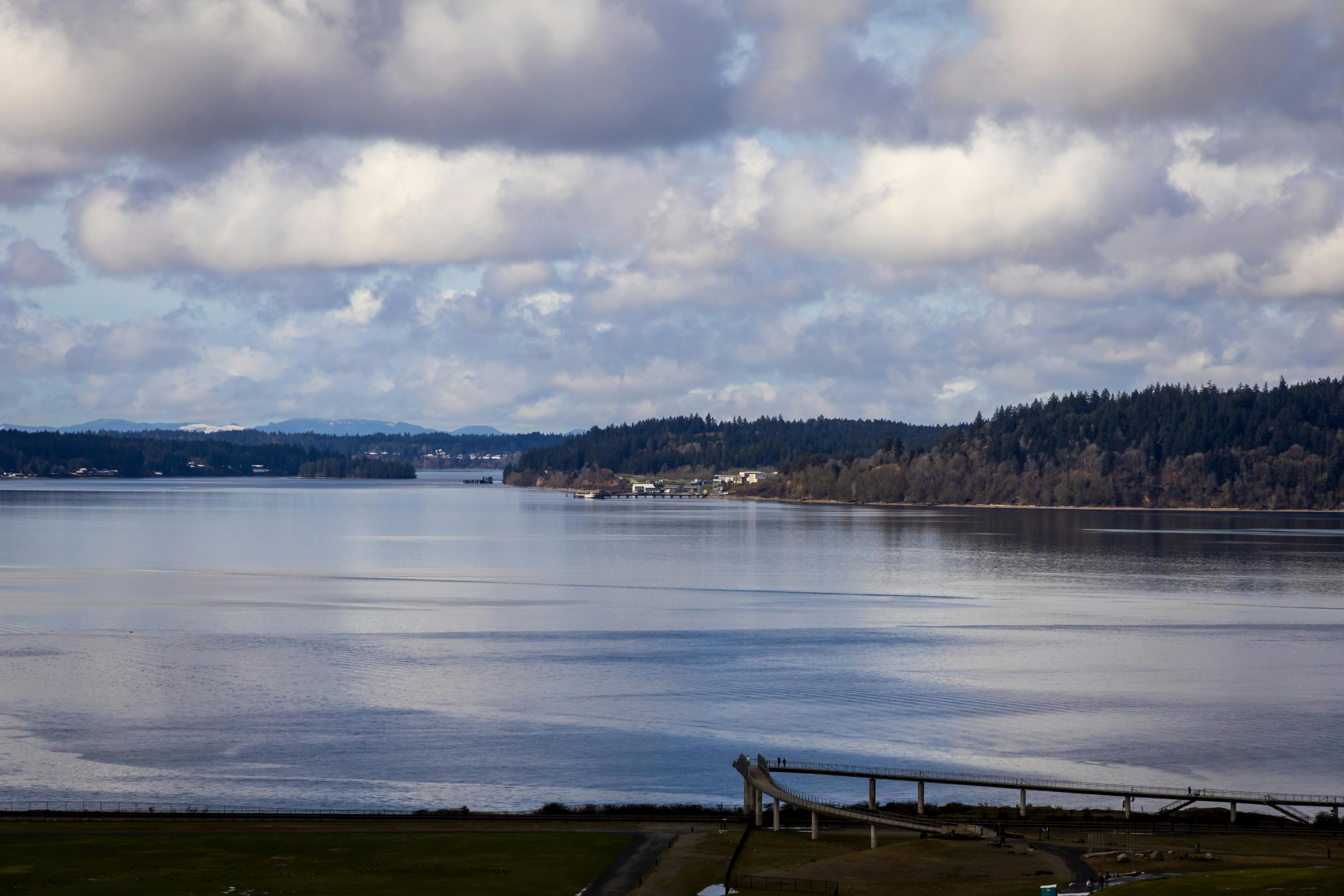 Kostnadsfria Fridfullt landskap i Puget Sound med lugnt vatten och molnig himmel, perfekt för naturälskare. Stock foto