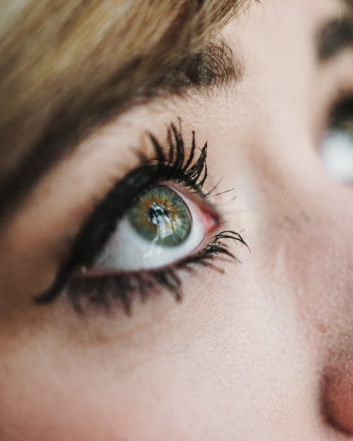 Person's Eye In Close Up Photography