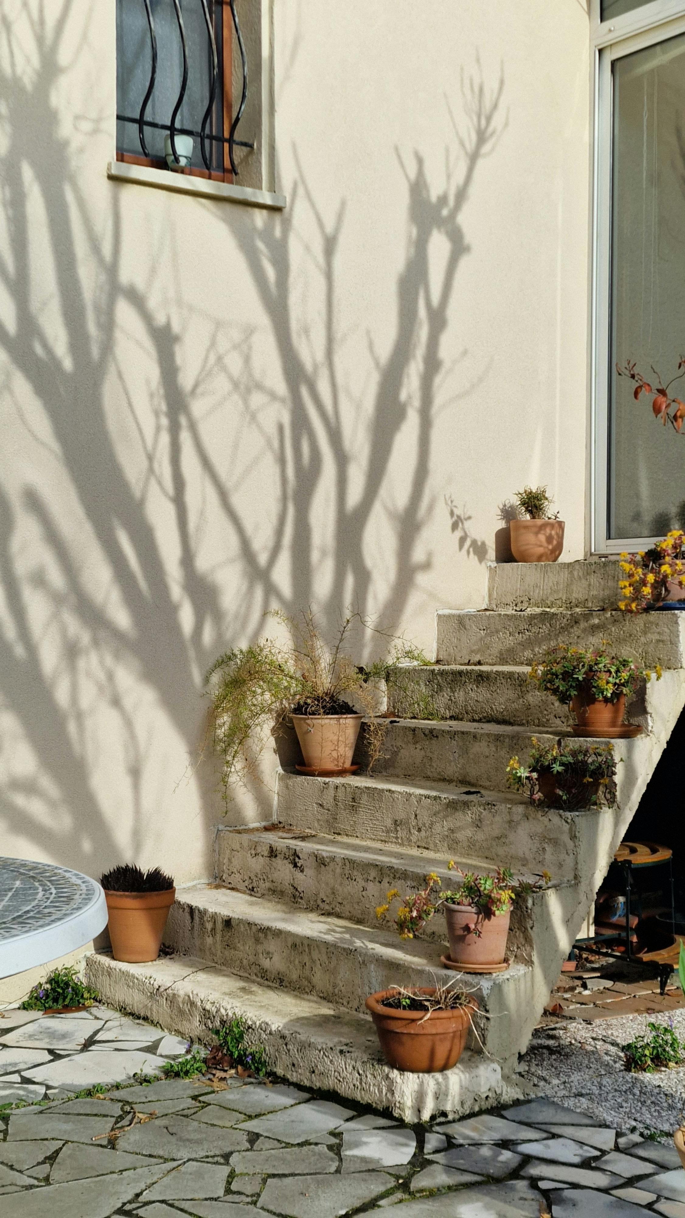 ingyenes Napsütötte kőlépcsők, melyeket cserepes növények díszítenek, és bonyolult árnyékokat vetnek a falra. Stockfotó