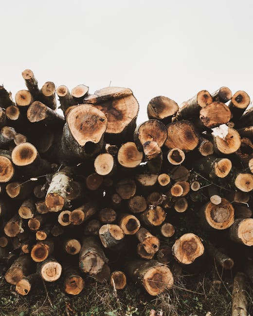 A pile of stacked wooden logs in an outdoor setting, ideal for themes of nature and industry.