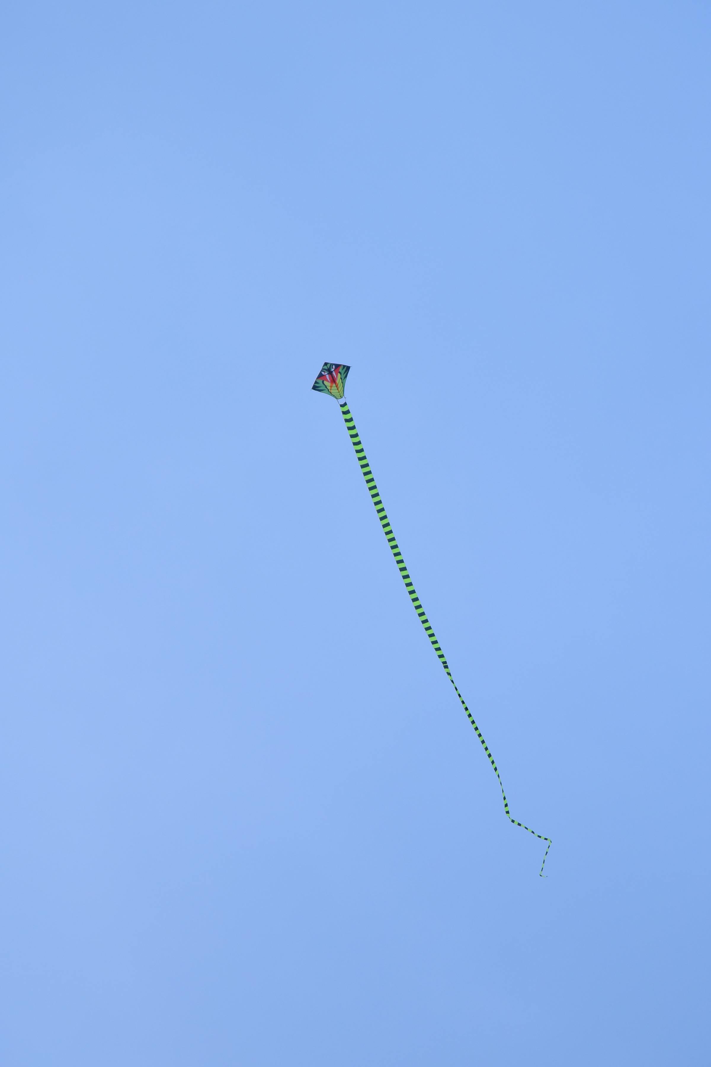 免费 色彩鲜艳的风筝高高翱翔，与湛蓝的天空形成鲜明对比。 素材图片