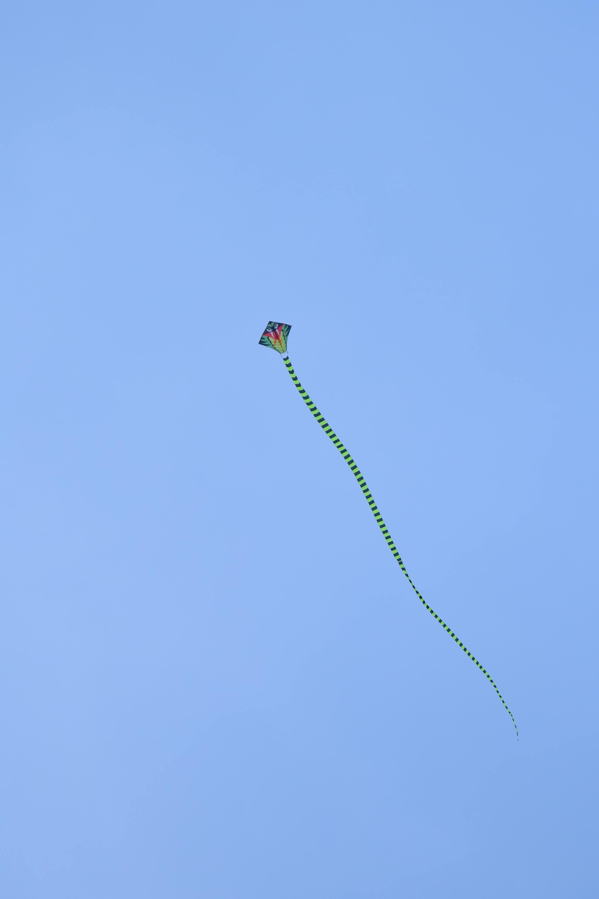 Kostnadsfria En färgglad drake med lång stjärt som flyger högt på en klarblå himmel och symboliserar frihet och glädje. Stock foto