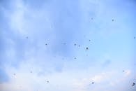 Vibrant Sky Filled with Colorful Kites