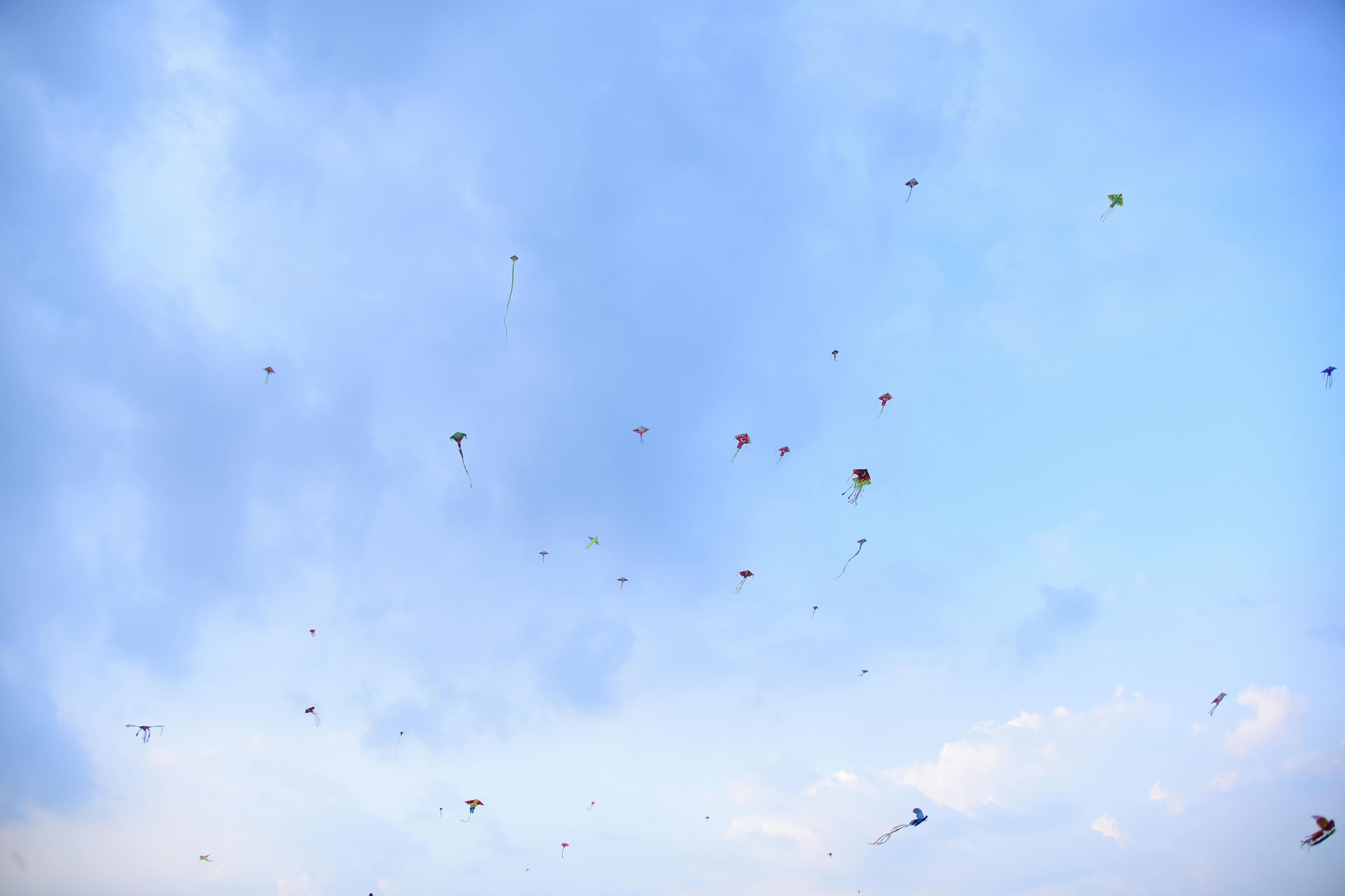 Zadarmo Úžasný pohľad na množstvo farebných šarkanov vznášajúcich sa na jasne modrej oblohe a vytvárajúcich slávnostnú atmosféru. Fotka z fotobanky