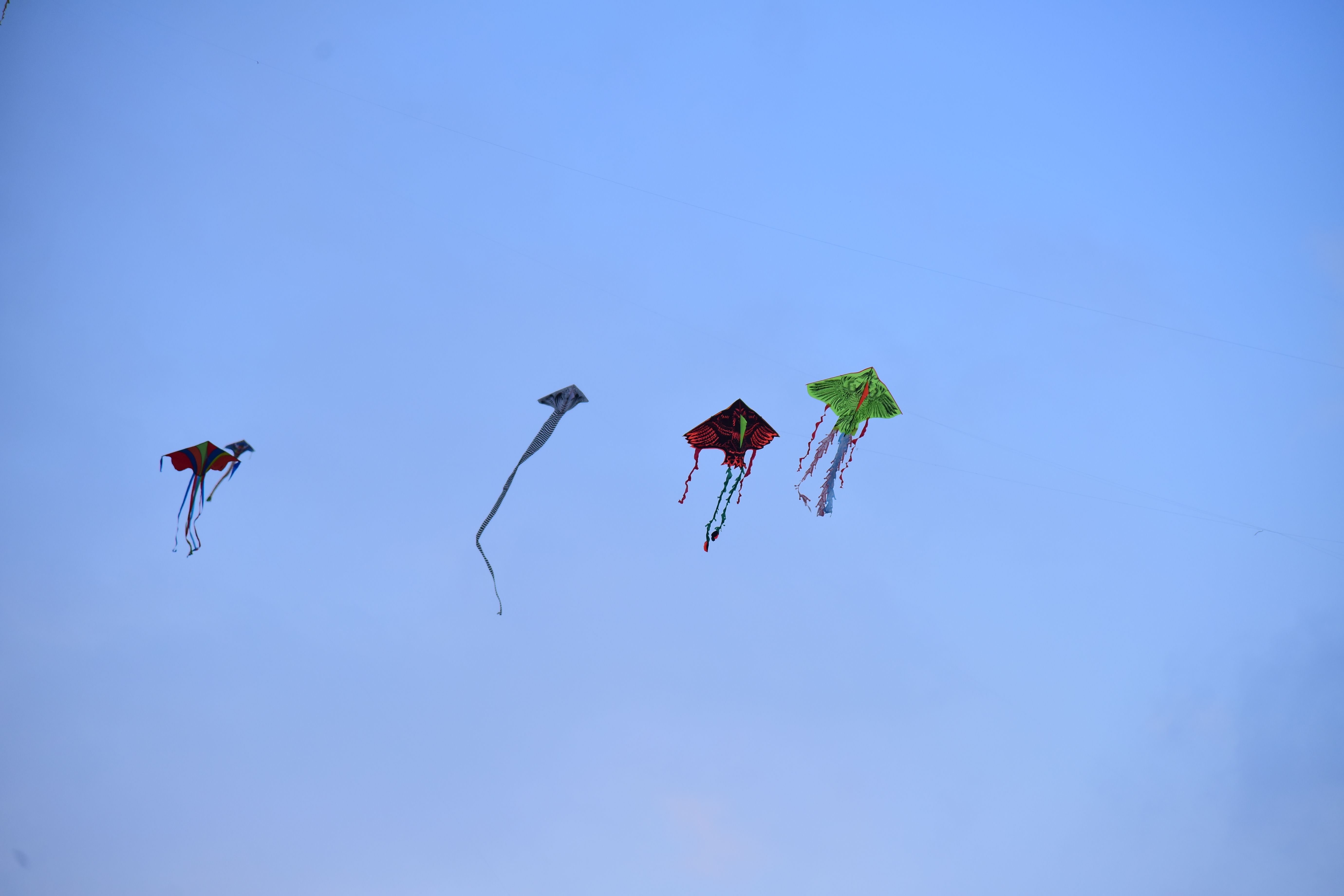 Colorful Kites Soaring in the Clear Blue Sky · Free Stock Photo