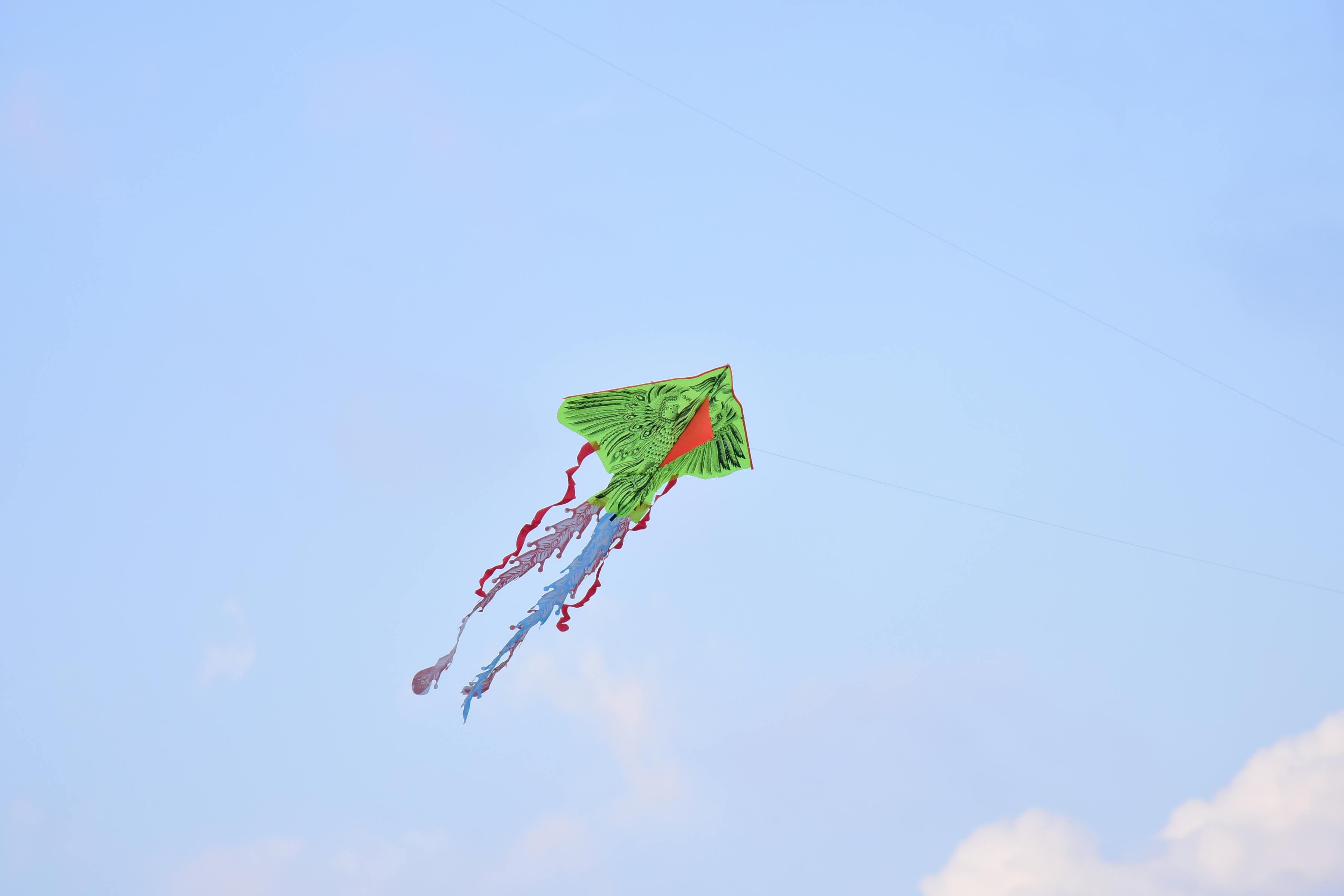 Gratis Fotos de stock gratuitas de actividad al aire libre, actividad de verano, aéreo Foto de stock