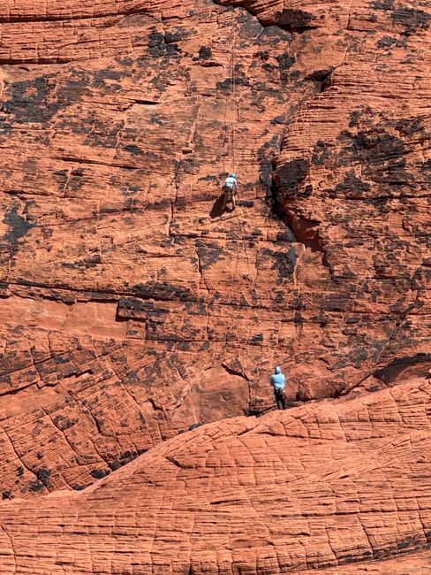 Two climbers ascending the textured red rock formations in Nevada's Red Rock Canyon.