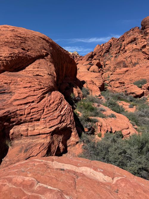 Free Vibrant red rock formations in Nevada's Red Rock Canyon under a clear blue sky. Stock Photo
