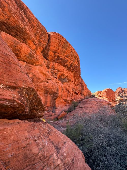 Free Dramatic view of Red Rock Canyon's iconic orange sandstone formations under a blue sky. Stock Photo