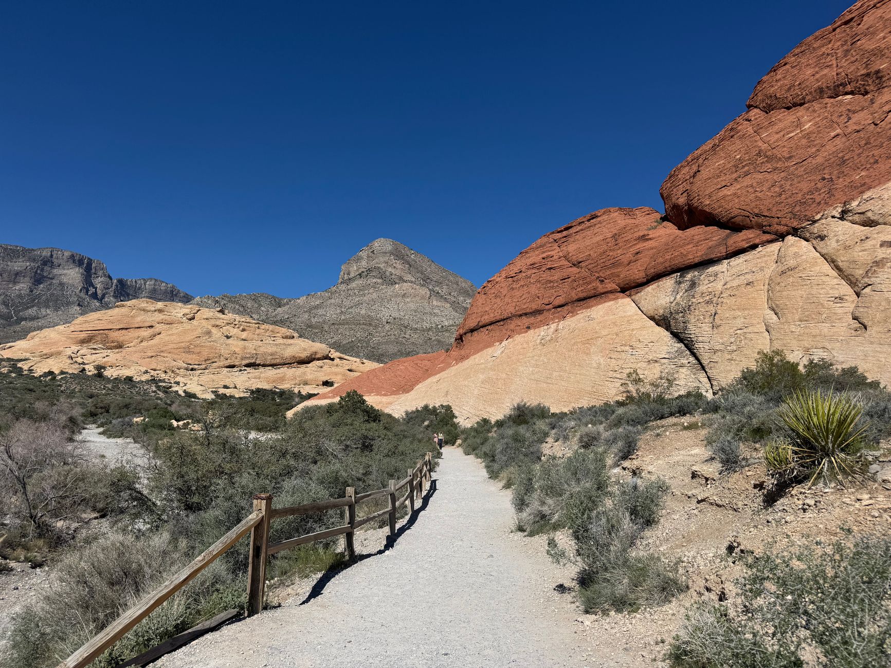 Red sandstone formations in Red Rock Canyon under a clear blue sky