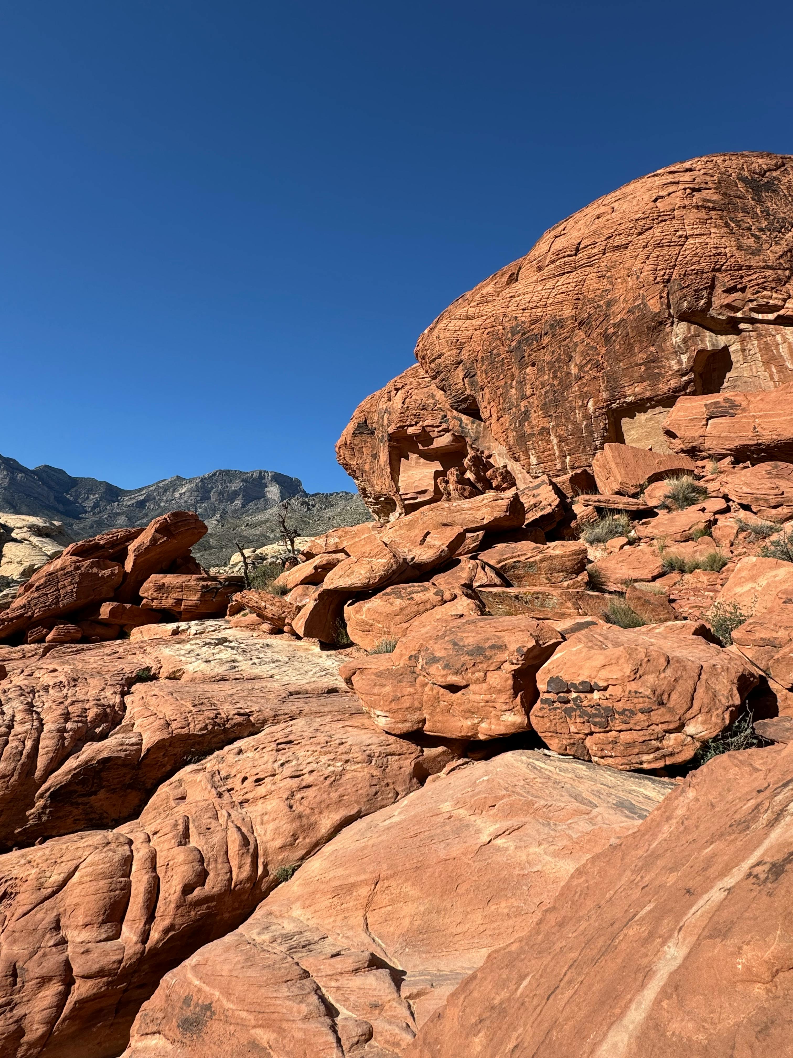 Gratis Fotos de stock gratuitas de aire libre, al aire libre, América del Norte Foto de stock