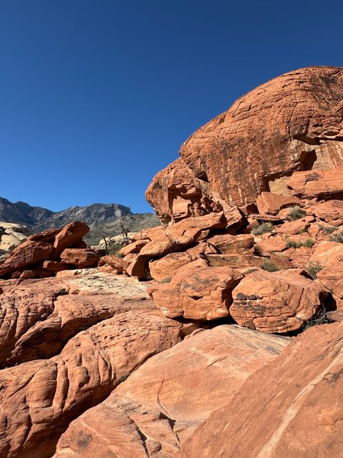 Free Stunning view of Red Rock Canyon's vibrant sandstone formations under a clear blue sky. Stock Photo