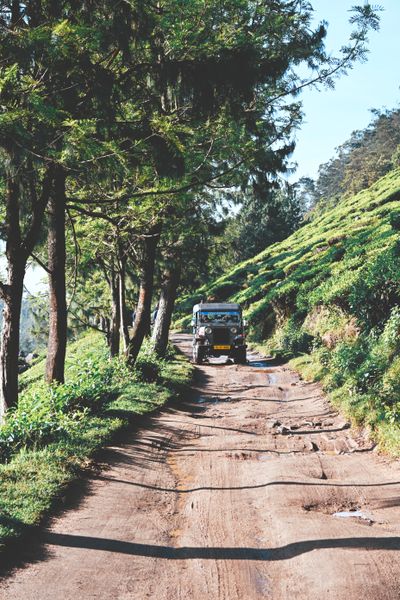 Kolukkumalai Safari Munnar