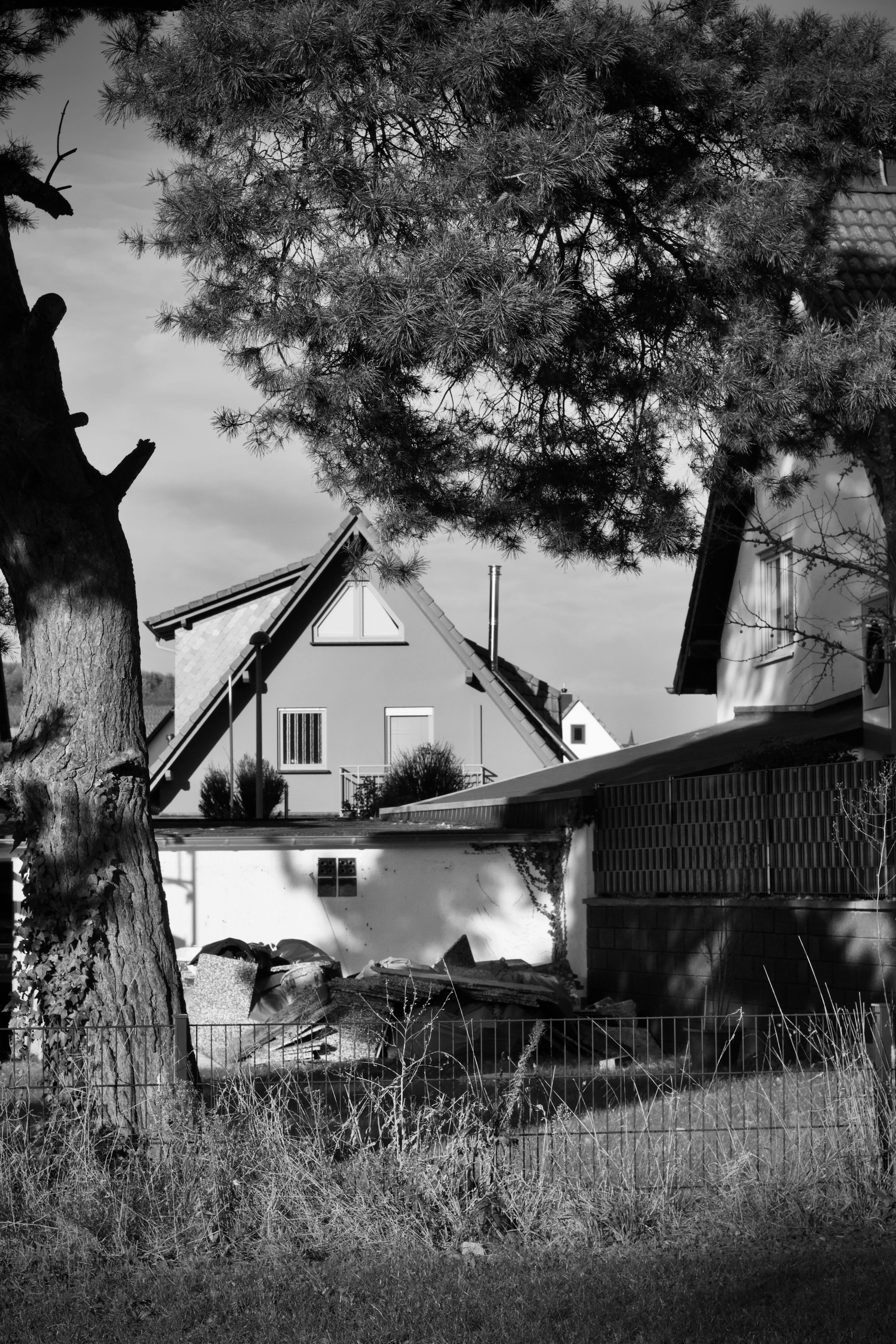 бесплатная Бесплатное стоковое фото с canon, архитектура, безмятежный Стоковое фото