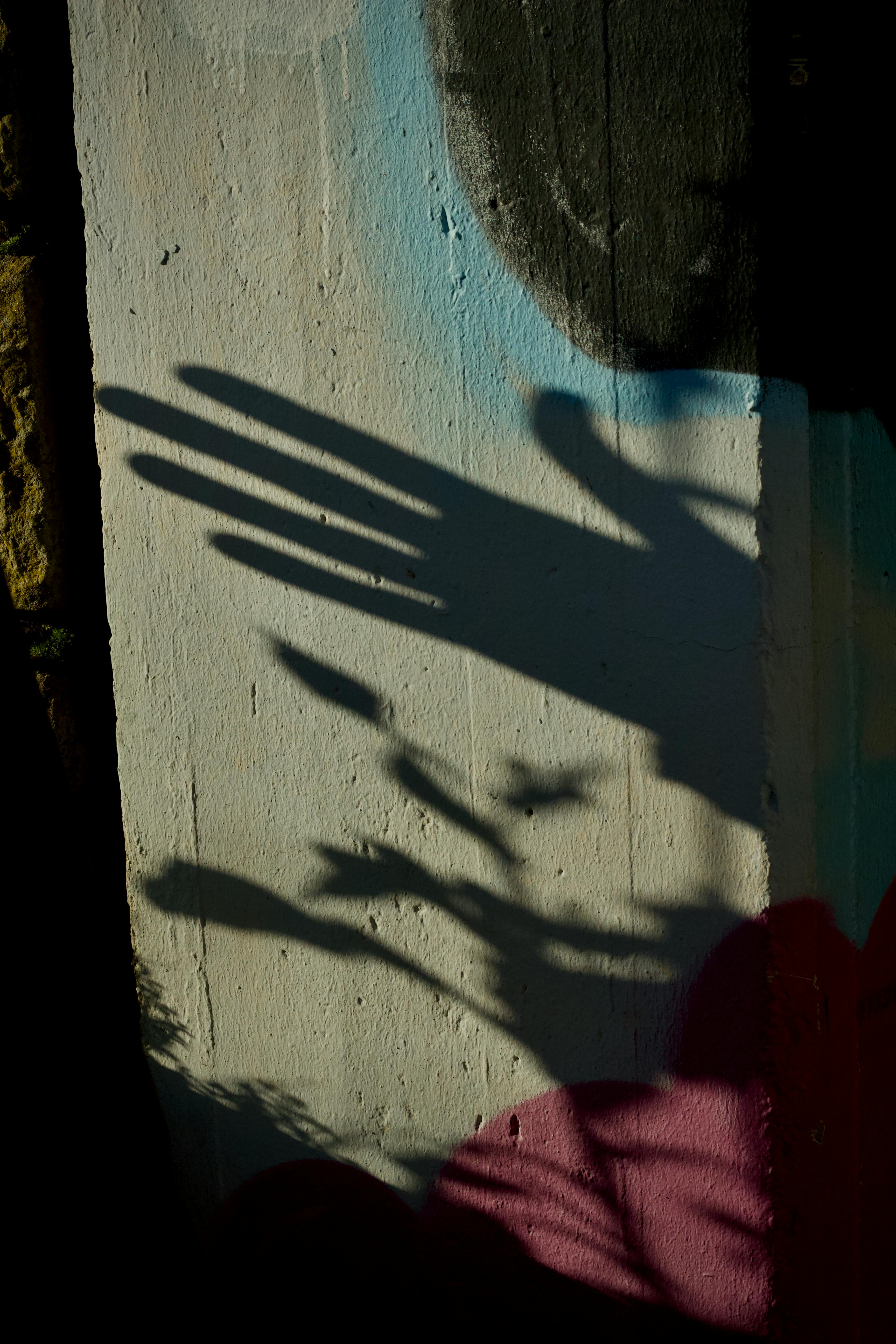 Zadarmo Siluety rúk a rastlín vrhajú zaujímavé tiene na nástennú maľbu. Fotka z fotobanky