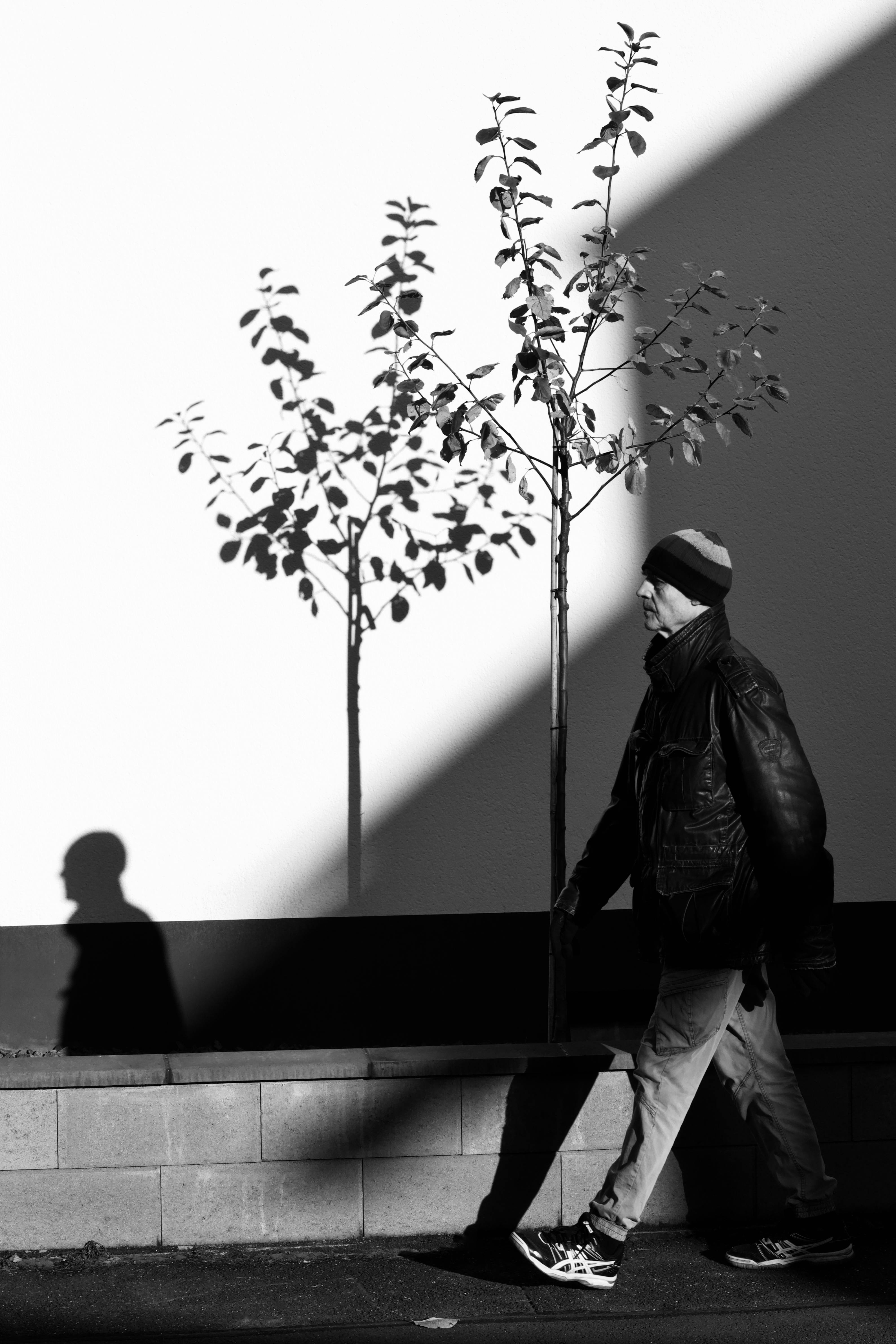Gratis Dramática fotografía callejera en blanco y negro de un hombre caminando junto a una pared con sombras. Foto de stock