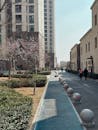 Modern Street with Spring Blossoms in Tianjin