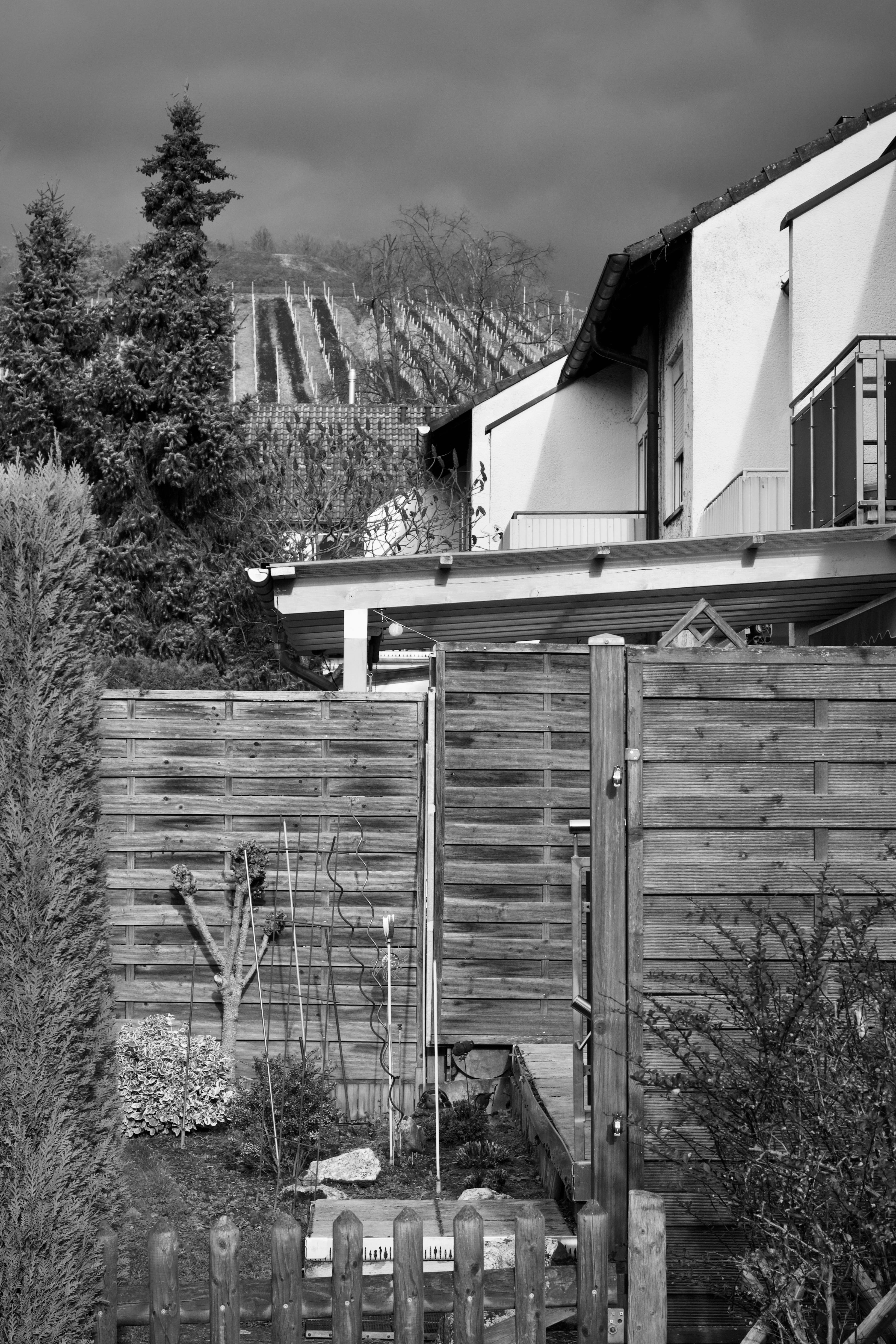 Gratuit Imagine monocromă a unei curți suburbane cu garduri de lemn și podgorii îndepărtate. Fotografie de stoc