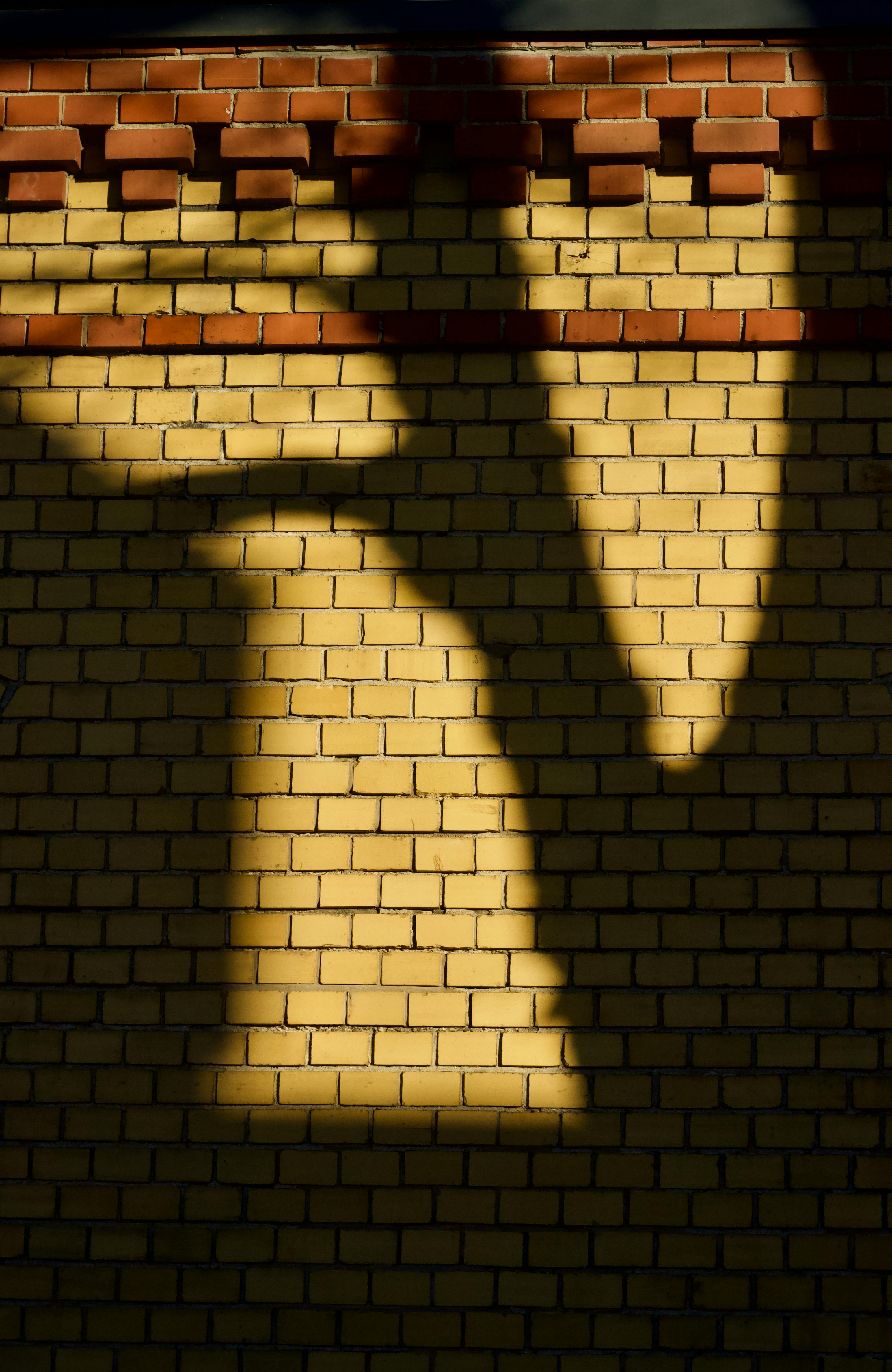 ฟรี คลังภาพถ่ายฟรี ของ @กลางแจ้ง, กล้องแคนนอน อีโอเอส 600ดี, กลางวัน คลังภาพถ่าย