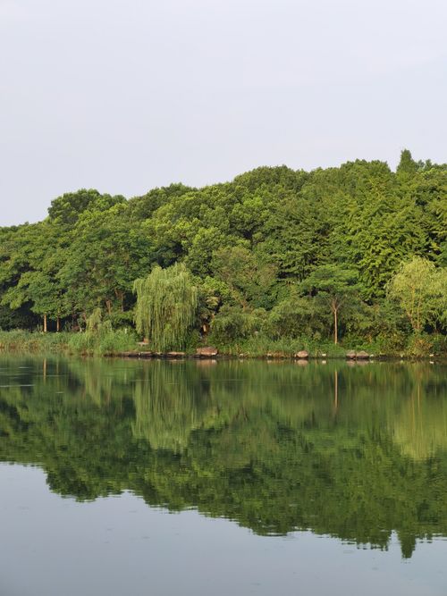 Free Lush green forest mirrored on a tranquil lake surface during the day, creating a serene landscape. Stock Photo