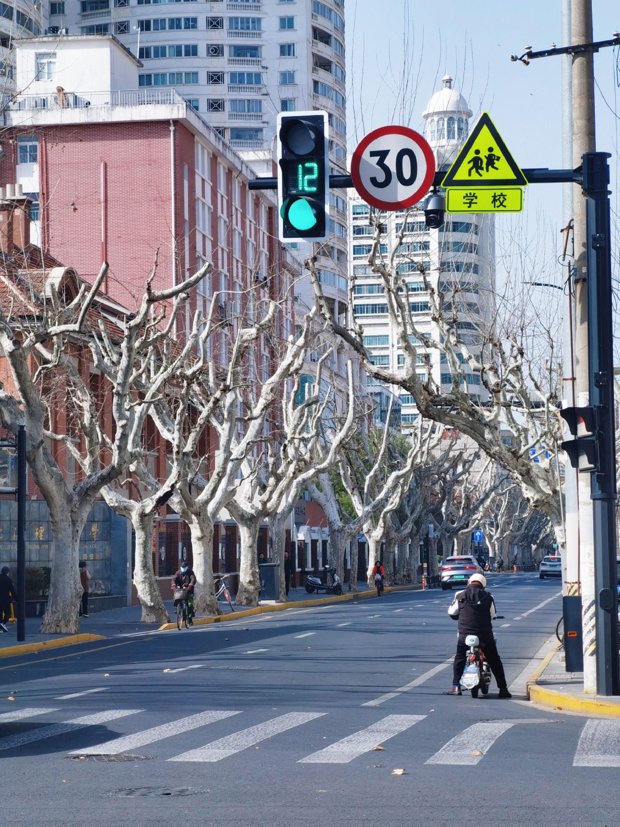 Urban Street Scene with Traffic Lights and Bare Trees · Free Stock Photo