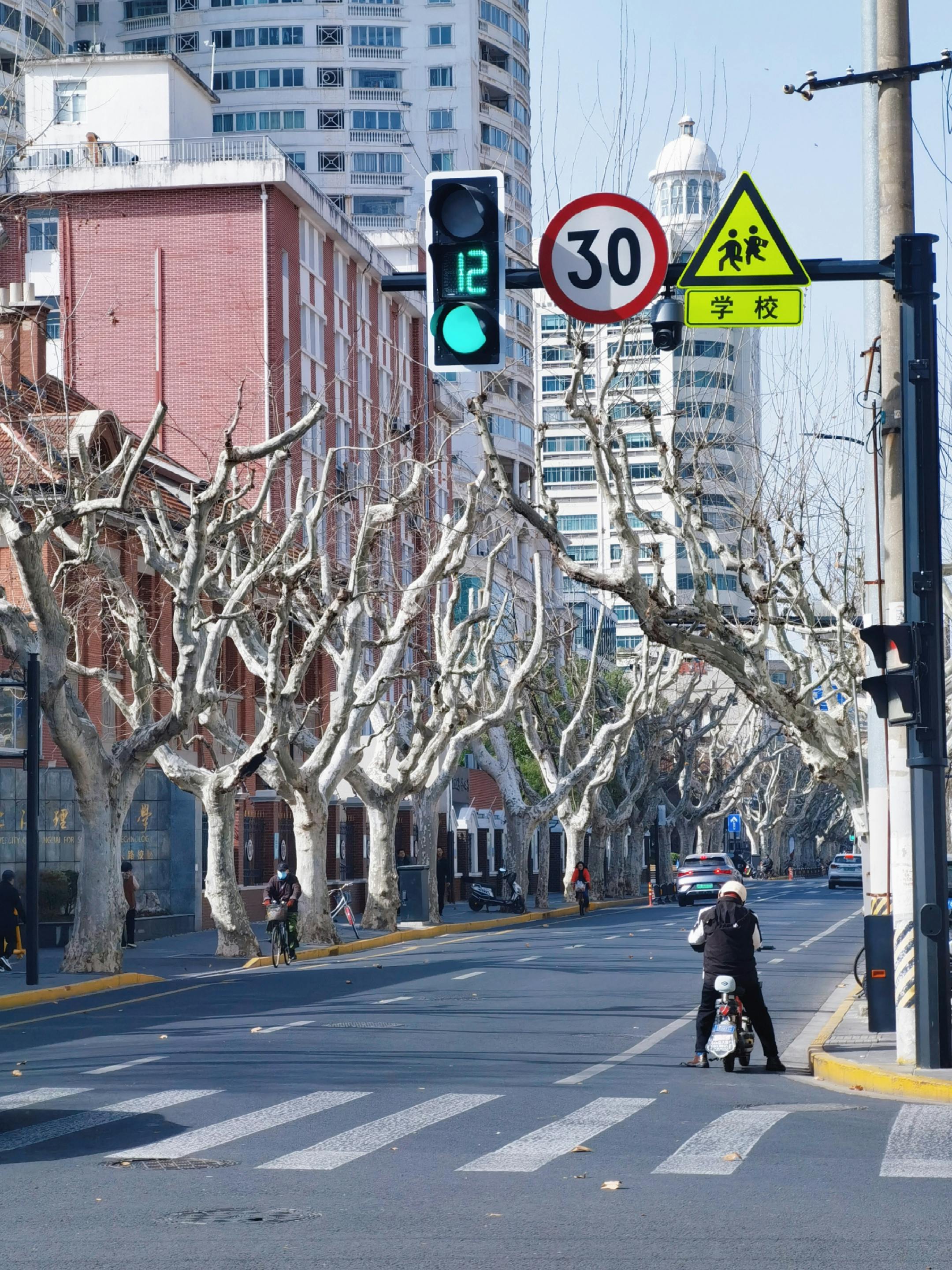 Urban Street Scene with Traffic Lights and Bare Trees