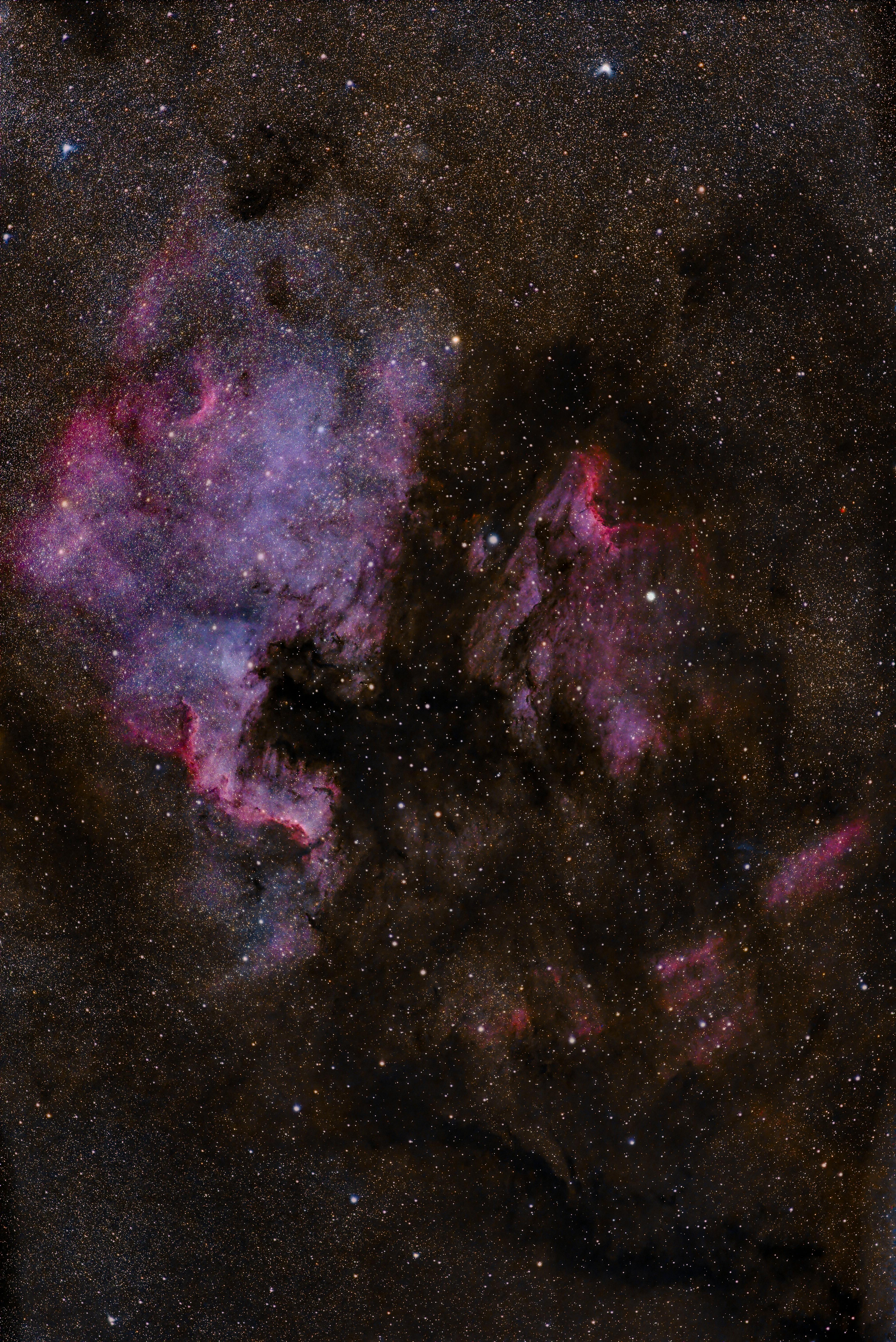 Δωρεάν Σαγηνευτική εικόνα του Νεφελώματος της Βόρειας Αμερικής με έντονα χρώματα και αστέρια στο διάστημα. Φωτογραφία από στοκ φωτογραφιών