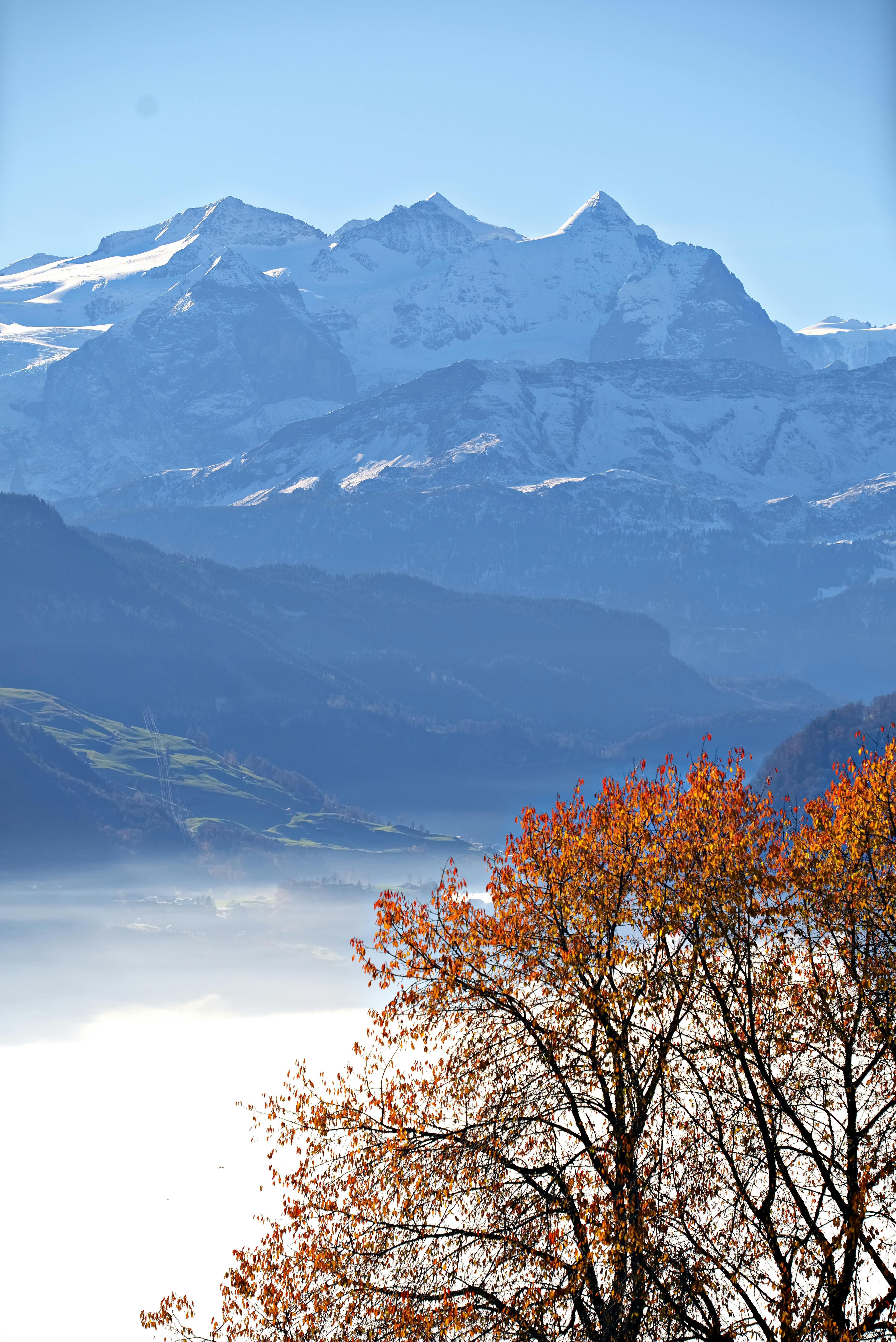 Serene mountain landscape with snow peaks and autumn trees under clear blue sky.