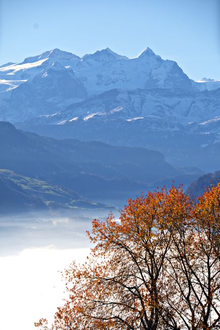 Serene mountain landscape with snow peaks and autumn trees under clear blue sky.