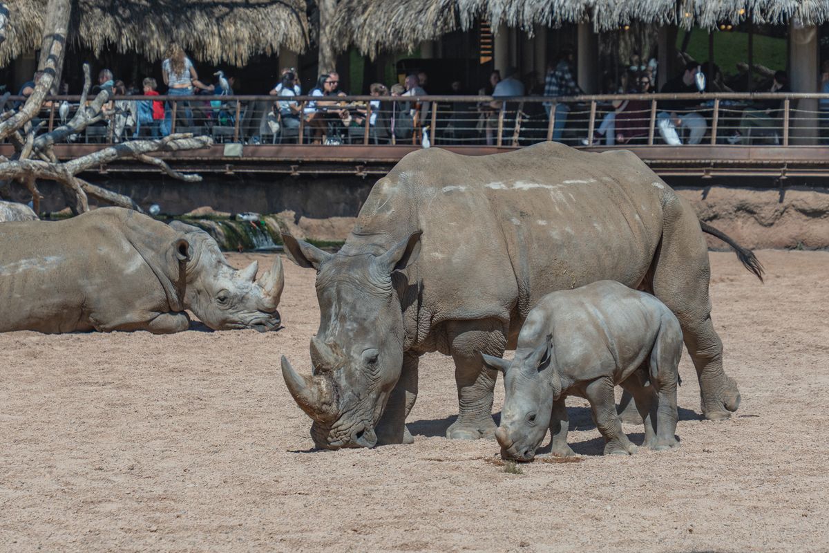 Zoo Plzeň