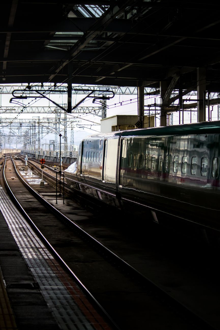 Unlock Kitakami Tenshochi: Your Ultimate Shinkansen Journey from Tokyo (Hassle-Free Guide!)