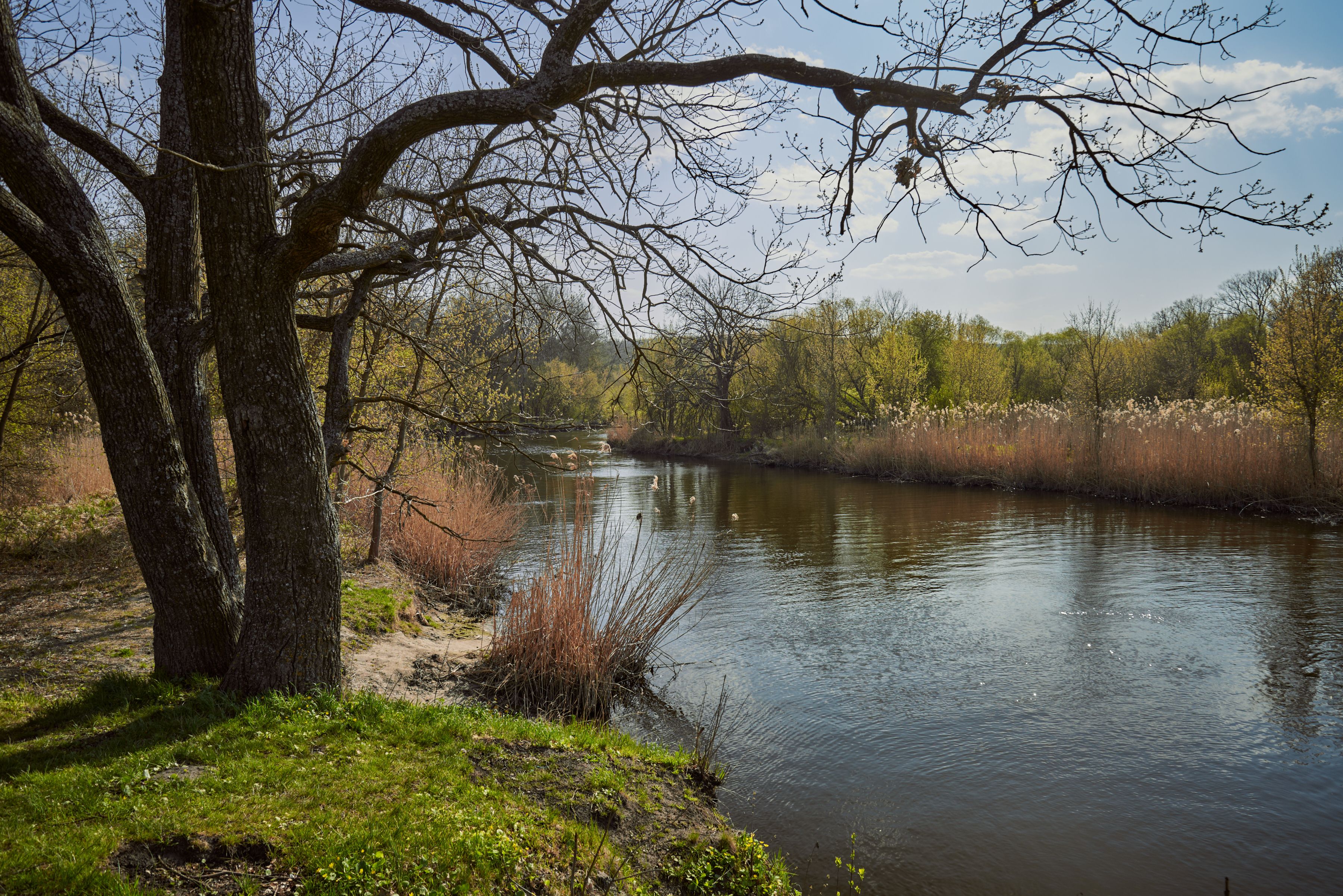 Get Ready for Spring Adventures at the Erie RV and Outdoor Adventure Show — Photo by Matvei on Pexels
