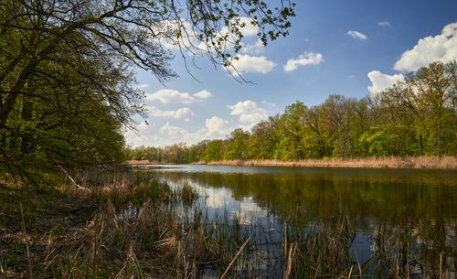 Free Serene spring landscape with a reflective lake surrounded by lush trees under a vibrant sky. Stock Photo