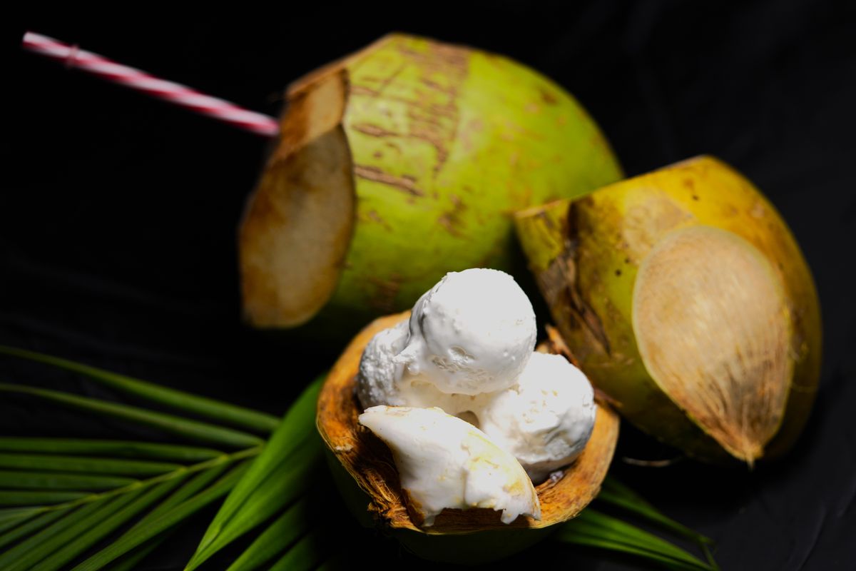 Coconut shell with ice cream — reference photograph, not TropiQs serving
