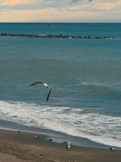 No es broma: ¡Hotel 4* junto a la playa del Mar Menor por solo 32 euros p/p!