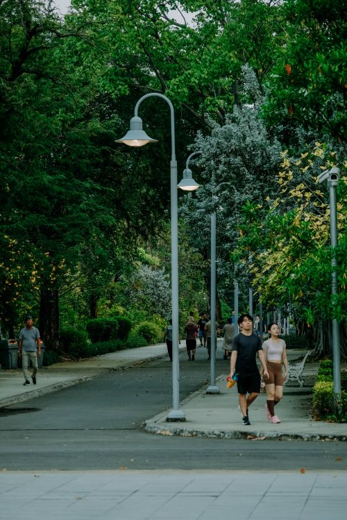 Free A couple strolls along a lush, tree-lined path in an urban park, enjoying a peaceful day outdoors. Stock Photo