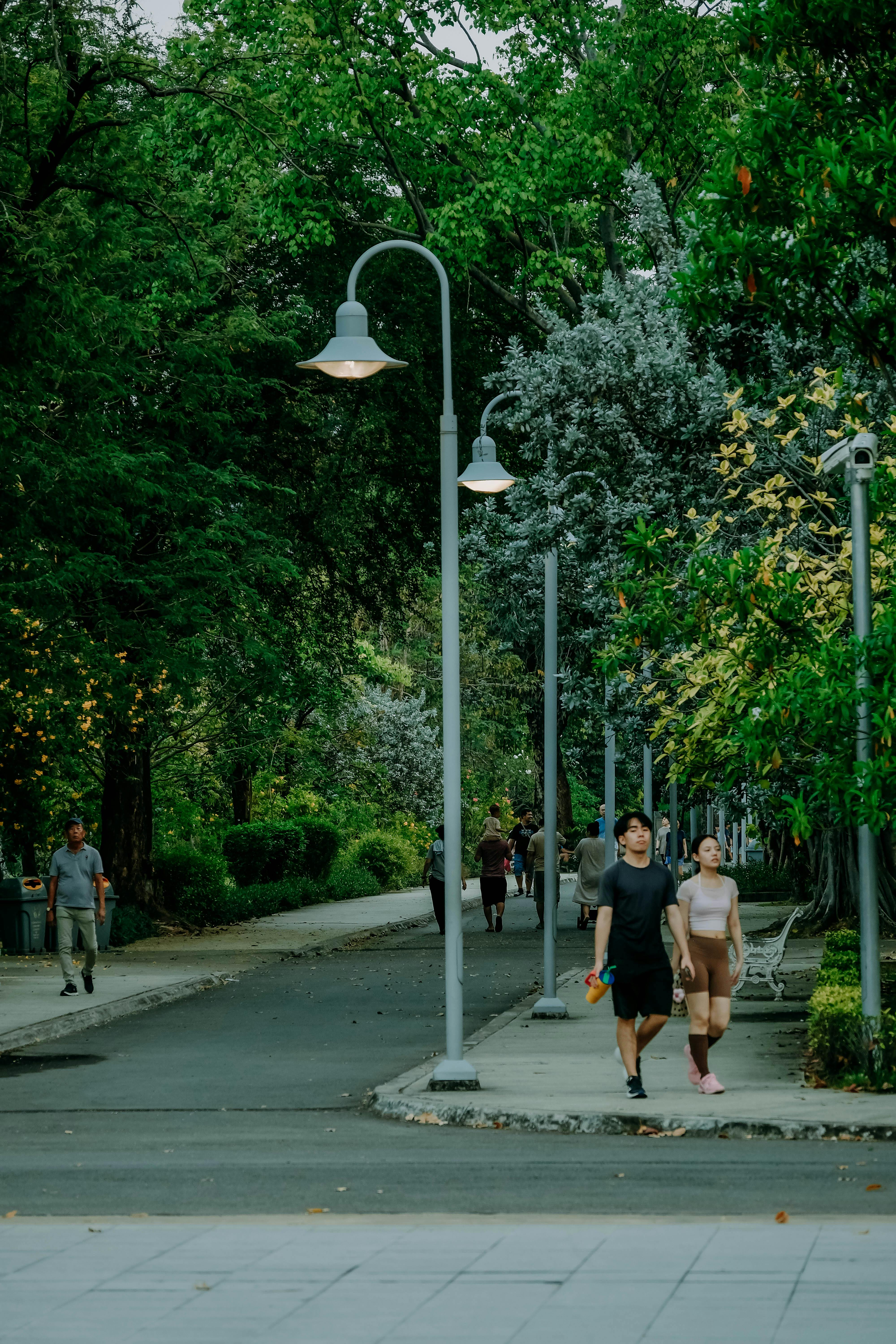 Zadarmo Pár sa prechádza po bujnom chodníku lemovanom stromami v mestskom parku a užíva si pokojný deň vonku. Fotka z fotobanky