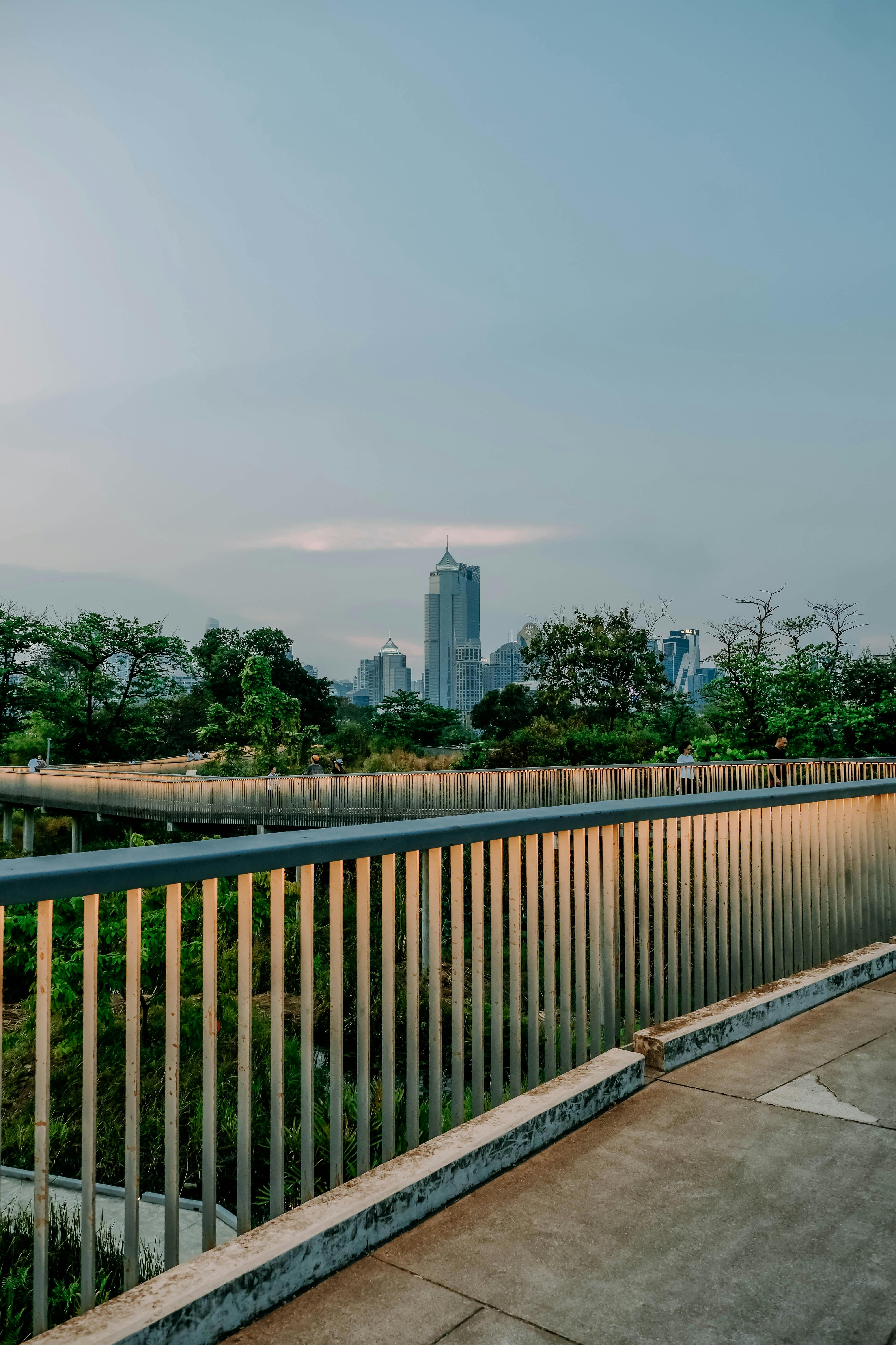 Miễn phí Khung cảnh thành phố thanh bình nhìn từ một công viên với cây cối và những công trình kiến ​​trúc hiện đại ở phía xa. Ảnh lưu trữ