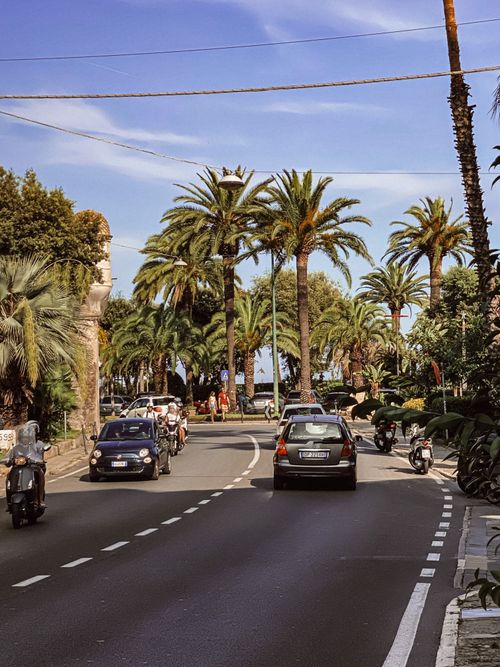 Free A picturesque street lined with palm trees and vehicles in an Italian coastal town. Stock Photo