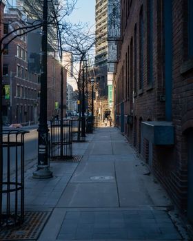 Peaceful winter day in Toronto's downtown with historic brick buildings lining the streets.