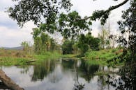 Serene River Landscape in Vietnam's Lush Greenery
