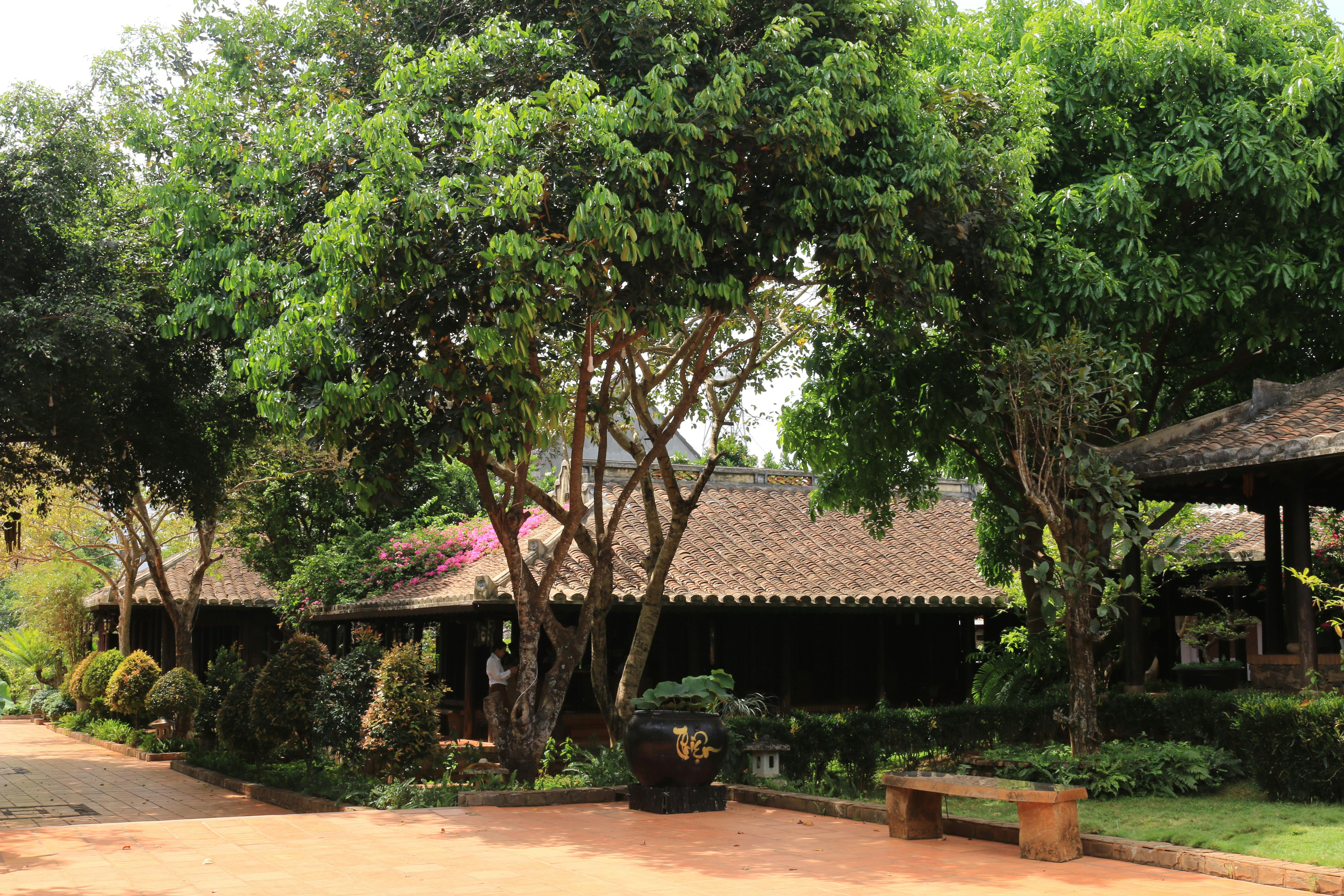 Miễn phí Ảnh lưu trữ miễn phí về ảnh thiên nhiên, bản làng, bảo tồn thiên nhiên Ảnh lưu trữ