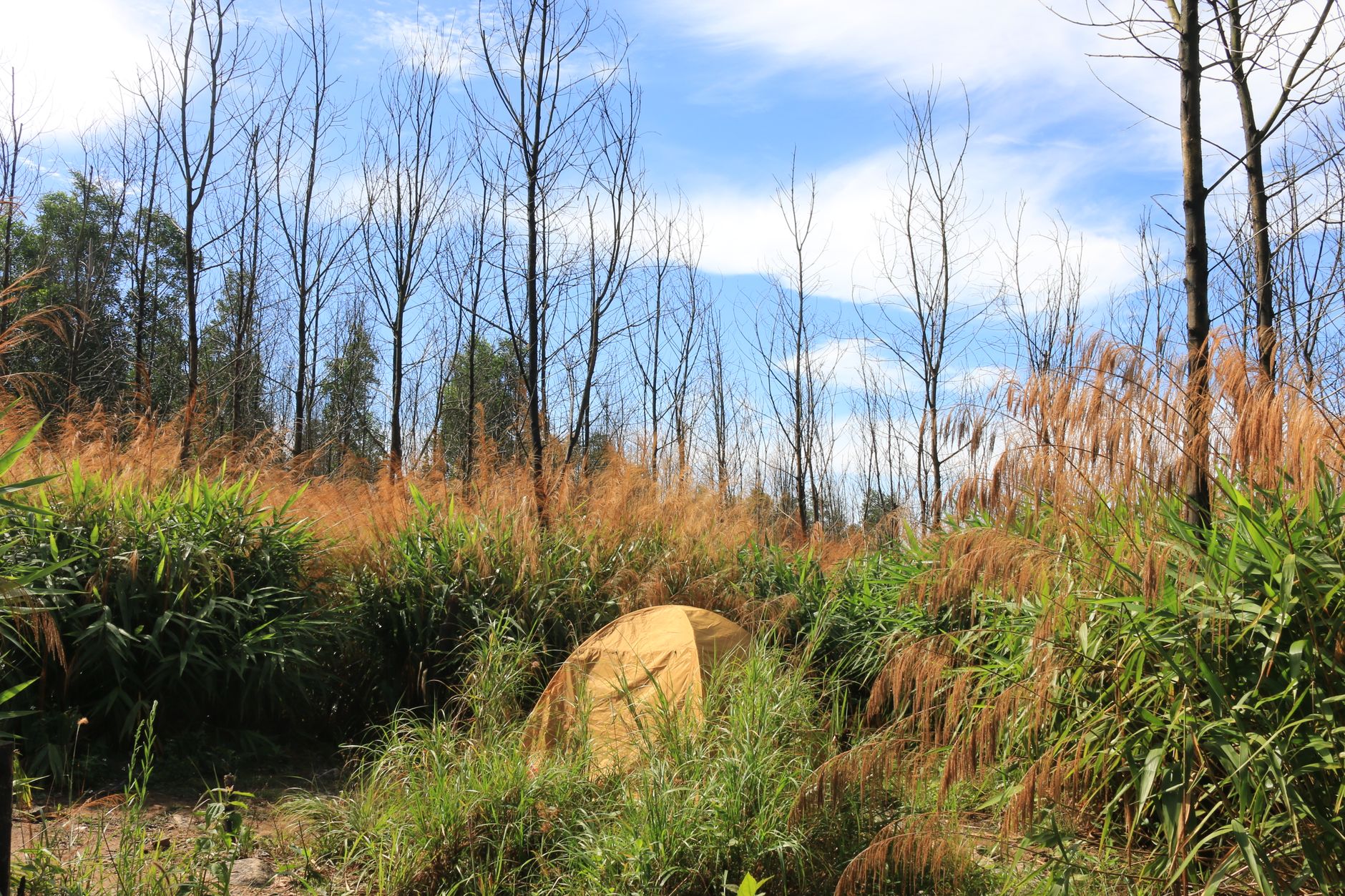베트남어 캠핑/자연 관련 표현