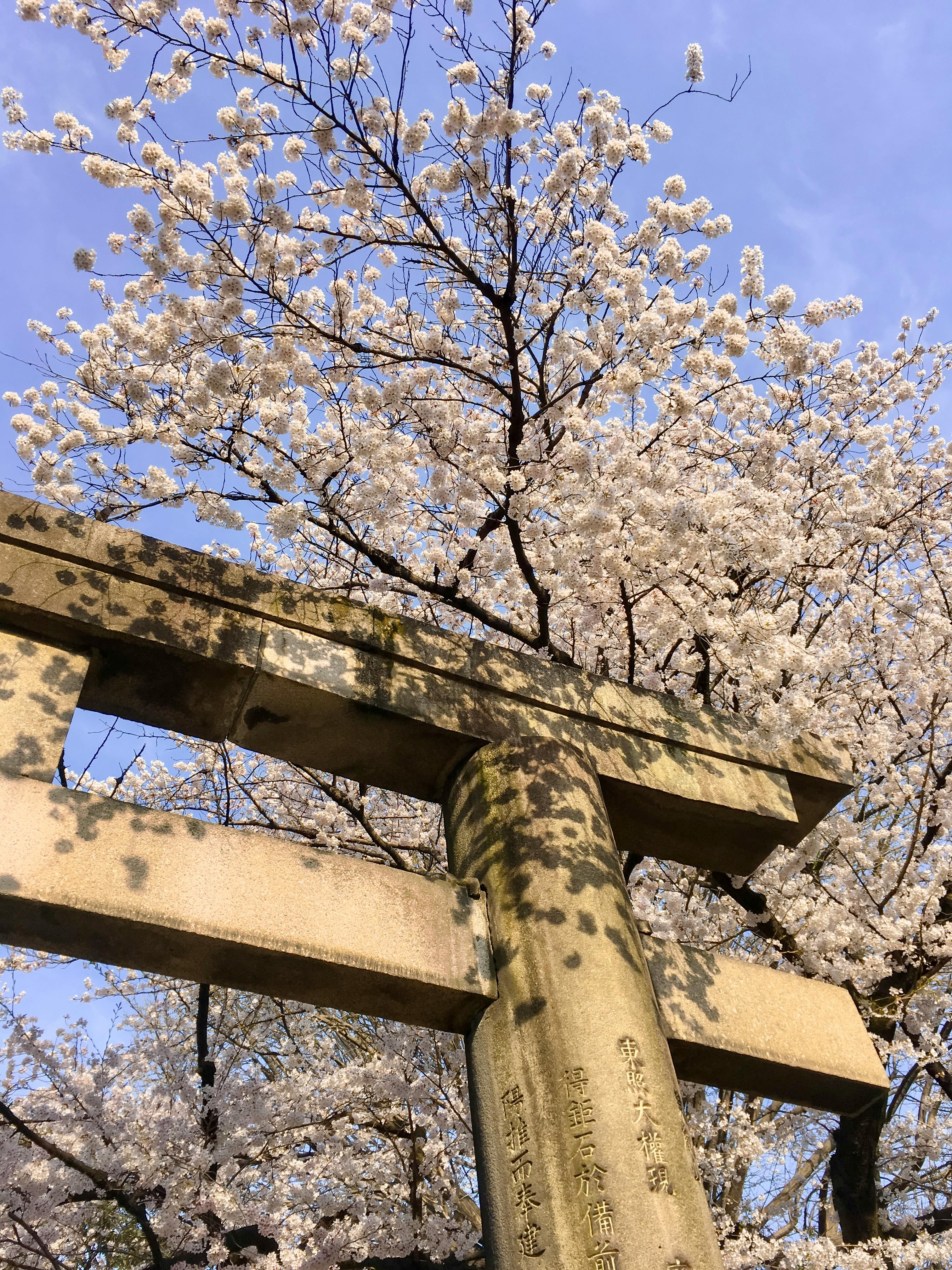 bezplatná Základová fotografie zdarma na téma @ venku, aan lichtbak toevoegen, architektura Základová fotografie