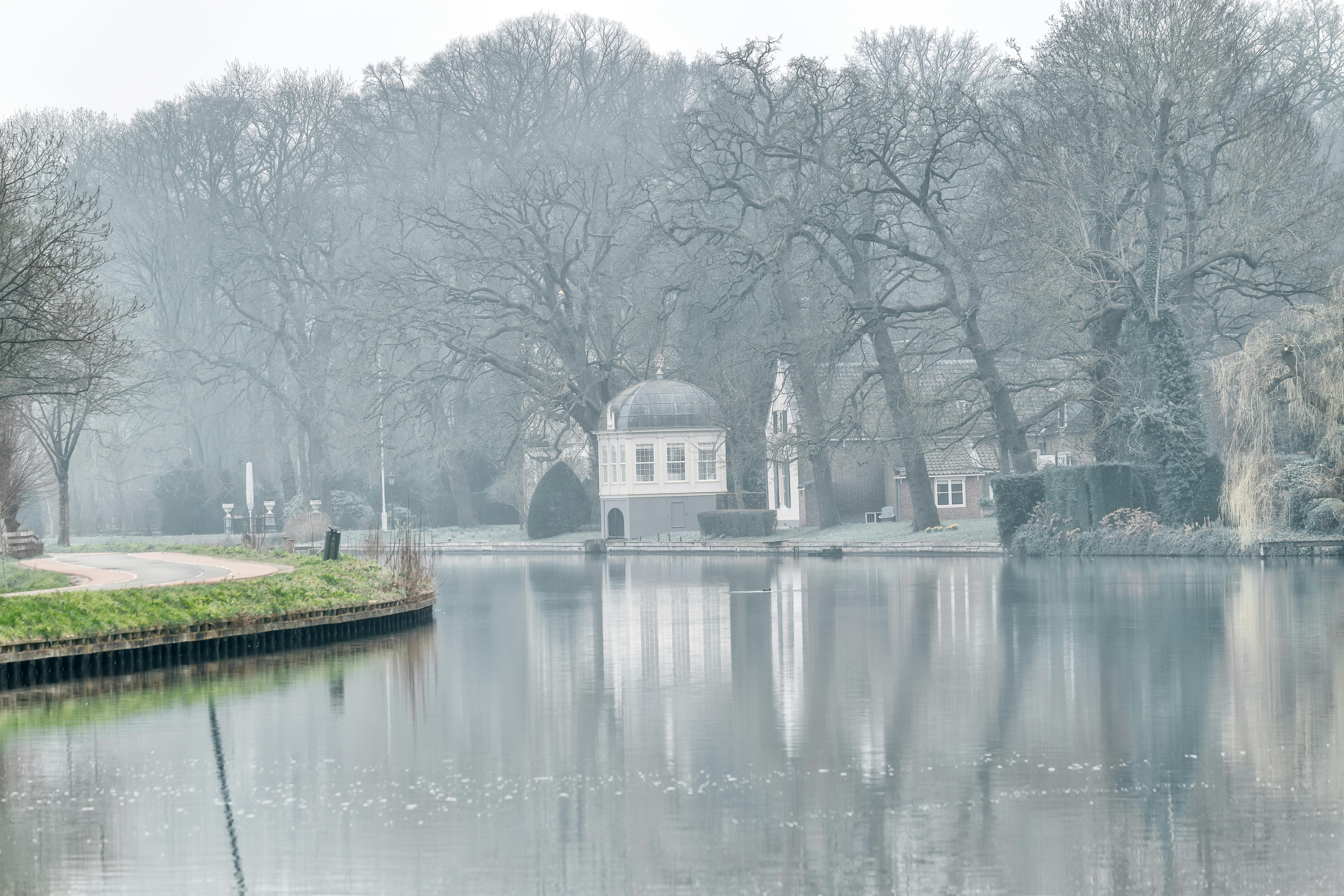 무료 앙상한 나무와 고전적인 건물들이 물에 비친 호숫가의 고요한 겨울 풍경. 스톡 사진