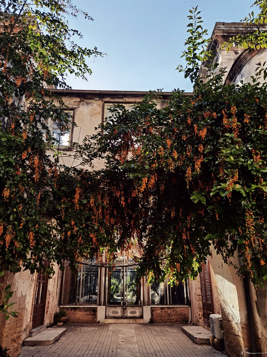 Atmospheric courtyard with dense planting, photograph by Vero Lova on Pexels