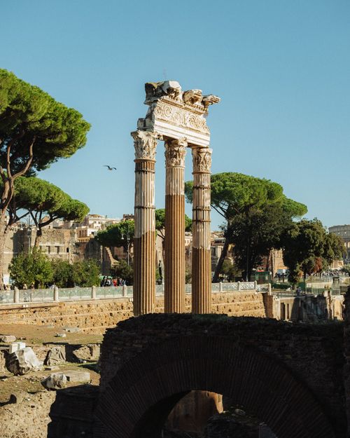 Free View of ancient Roman Forum ruins with columns and cedar trees in summer. Stock Photo