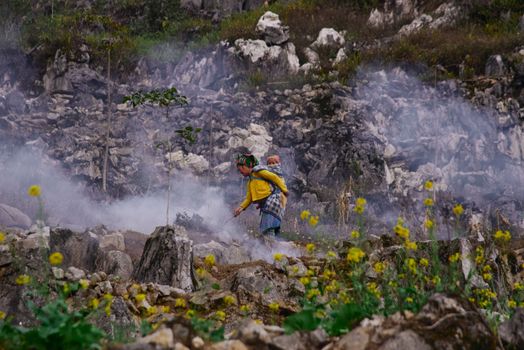 A woman carrying a child walks through a rocky, misty terrain with yellow flowers.