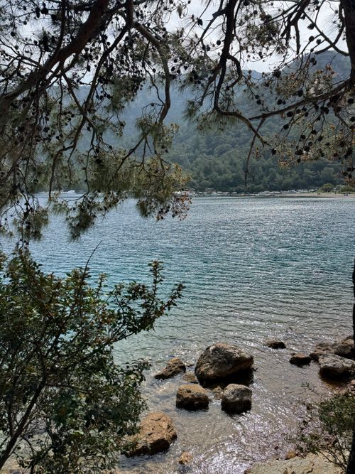 Free Tranquil bay with pine trees and rocky shore in Oludeniz, Turkey. Stock Photo
